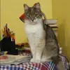 Отзыв от Динара Панина
